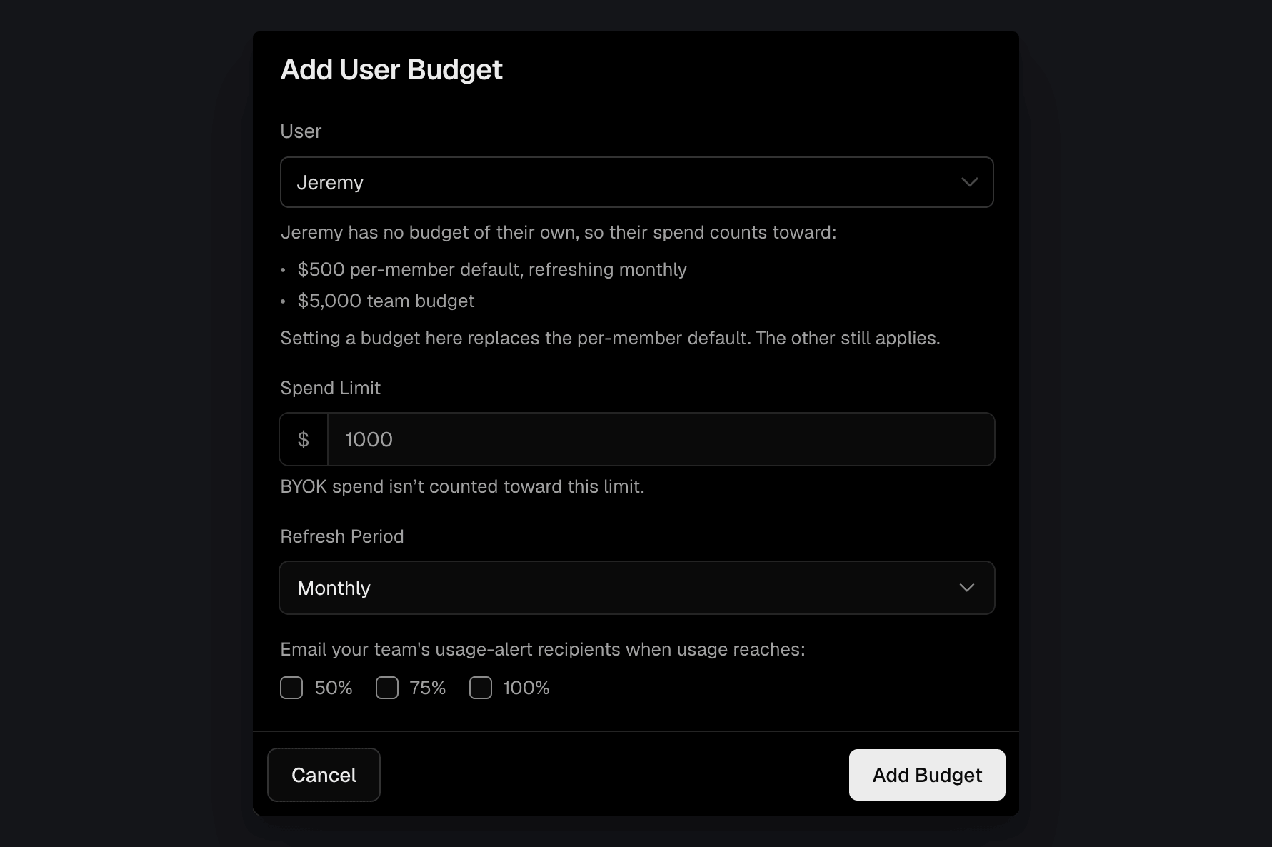 Set a custom user budget. It replaces the default user budget for that member, while the team budget still applies.